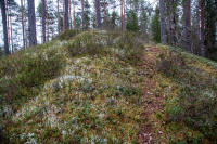 Finnskogen