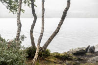 Hemsedal