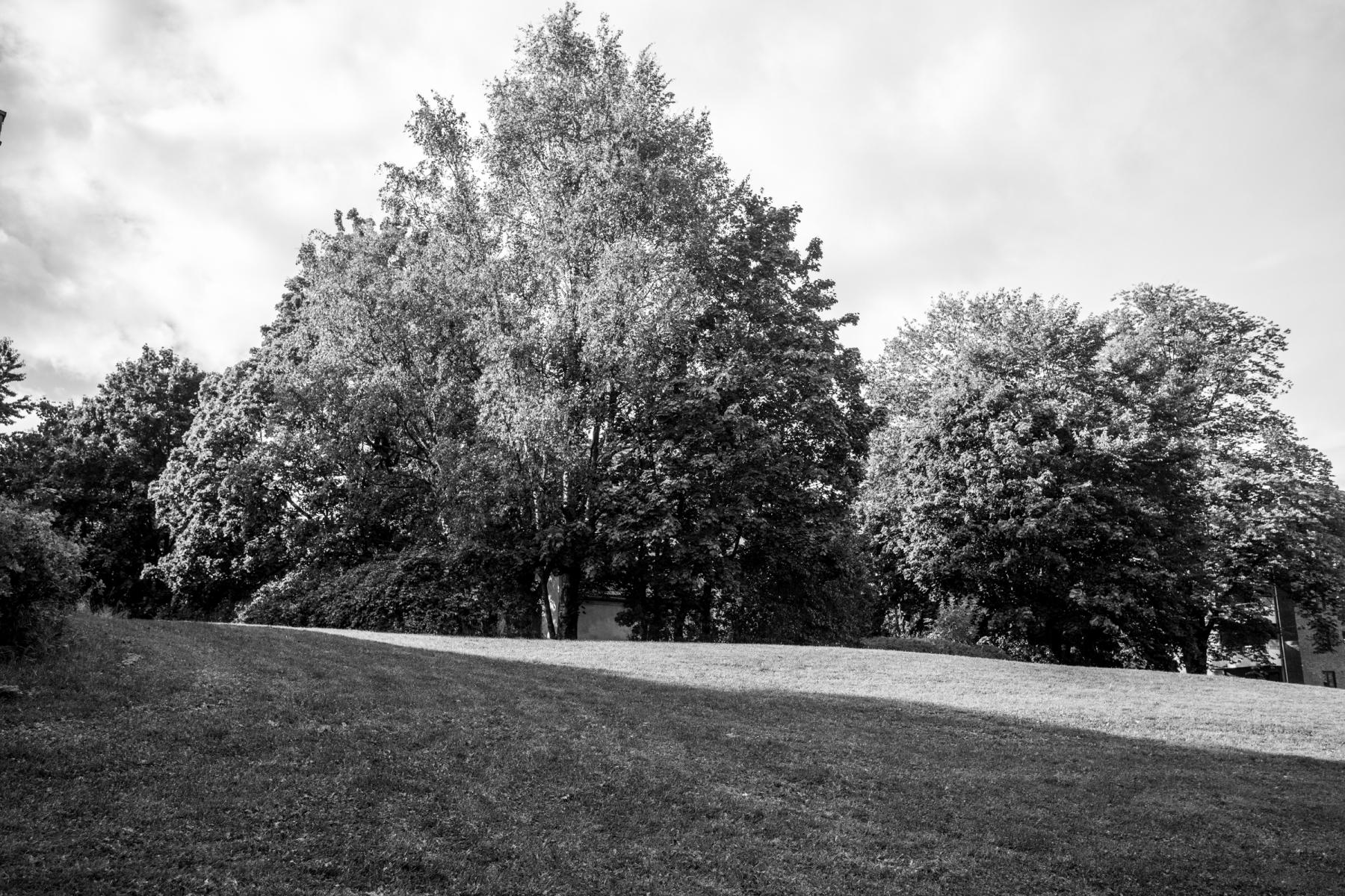 "Park i Nydalen" (2025)